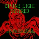 Divine_Light_Severed_webp