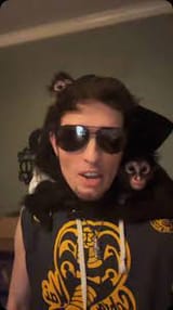 monkey king