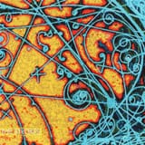 the-strokes-is-this-it-us-cover-765294