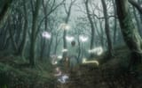 mushishi