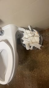 MexicantPlumb