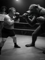 FIGHT