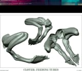 feeding tubes