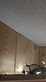 PXL_20250703_040843791