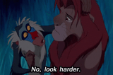 look-harder-rafiki