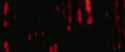 Anora opening titles_thumb.jpg