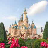 shanghai+disneyland+reopening