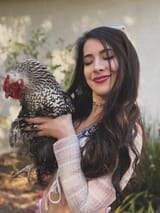 GvHHGG3XMAAvJ_W