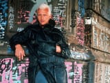 Rutgar Hauer