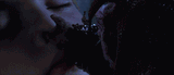 cats-eye4