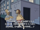 shake-booty