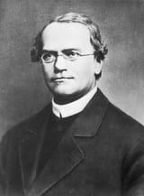Gregor_Mendel