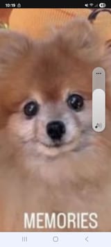 Screenshot_20250706_101911_Brave
