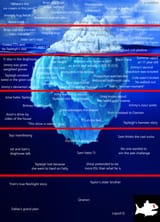 iceberg