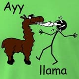 ayyllama