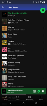 Screenshot_20250707-064917_Spotify