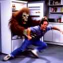 jerry fridge_thumb.jpg