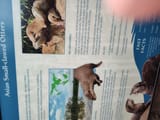 IMG_20250706_152332607