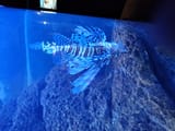 IMG_20250706_162355876