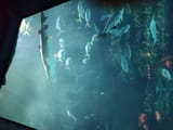 IMG_20250706_162903091