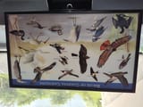 IMG_20250706_161156617