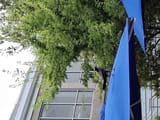 IMG_20250706_154548886