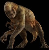 distortus-rex-34j6yi3a2n4f1