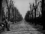 Third Man Ending