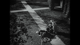 Cyrano De Bergerac (1950) - Free Movies Tubi