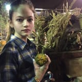 Foypumpk