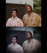shogunoldvsnew