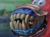 teeth