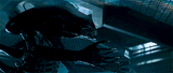 tumblr_5090f13b76c5f425e099d0d66d5476fc_ef55712b_540