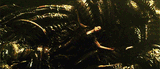 alienresurrection