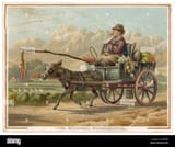 a-farmer-goes-to-market-on-a-cart-pulled-by-a-donkey-he-dangles-three-G3BG9B