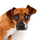 istockphoto-467845400-612x612