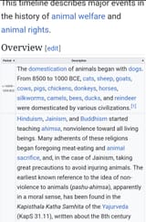 Animal Rights