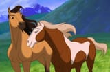 spirit-stallion-disneyscreencaps.com-9000~2