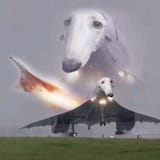 1741728132192528