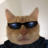 1636333896885
