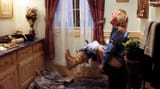 Jeff Daniels Oscar En Memorium