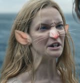 rat