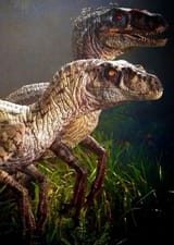 JP3-Raptors