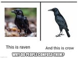 i-dont-understand-how-it-is-possible-to-confuse-so-v0-4vw9wf7aqoxd1
