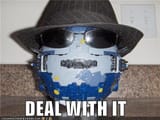 deal with it primus