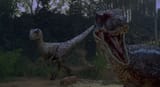 raptor_jp3