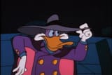 Darkwing Fucks