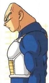17273742