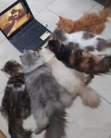 F1Bu6reWIAI06Ug