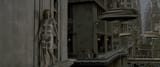 vlcsnap-2025-07-08-14h08m41s731